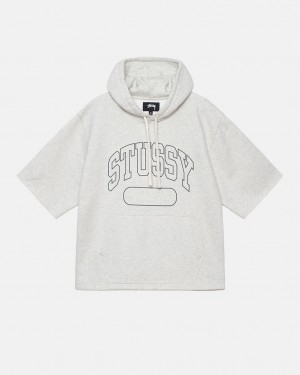 Stussy Ss Boxy Cropped Hoodie Hoodie Herren Grau Österreich | UPZ-9643