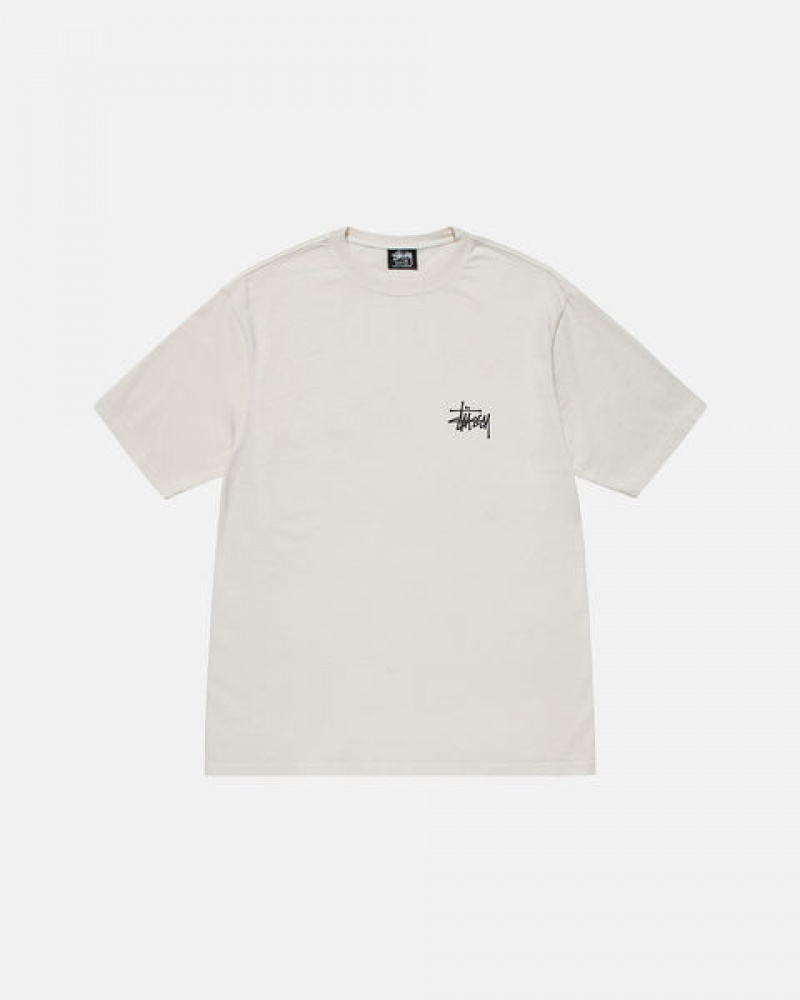 Stussy Basic Stussy Tee Tees Damen Beige Österreich | RTR-6135