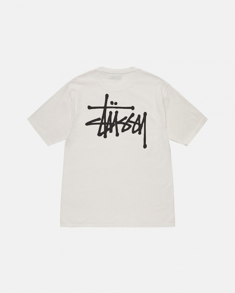 Stussy Basic Stussy Tee Tees Damen Beige Österreich | RTR-6135