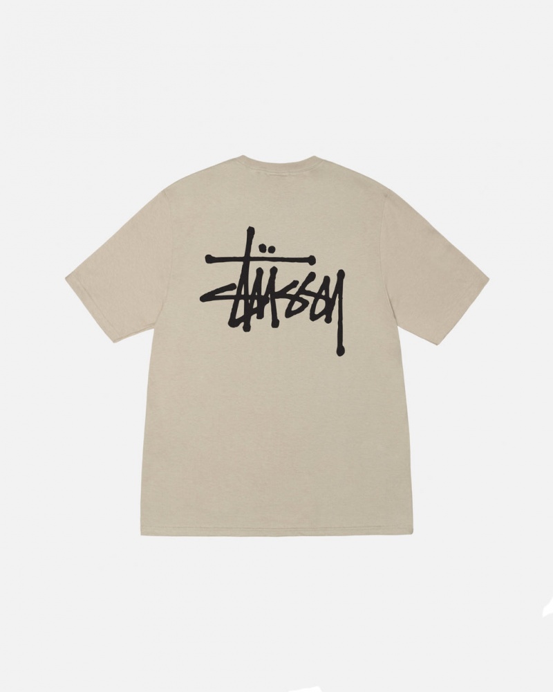 Stussy Basic Stussy Tee Tees Damen Khaki Österreich | CYE-0468