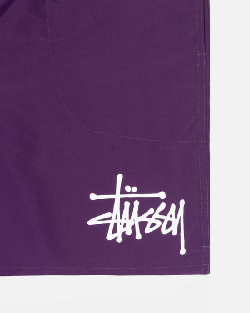 Stussy Big Basic Wasser Kurzes Bademode Herren Fuchsie Österreich | THS-5468