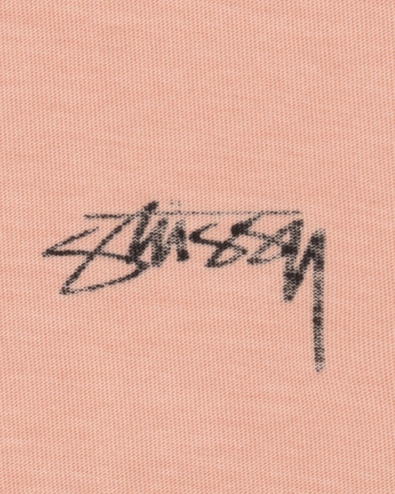 Stussy Lazy Ls Tee Tees Herren Hellrosa Österreich | GFY-5909