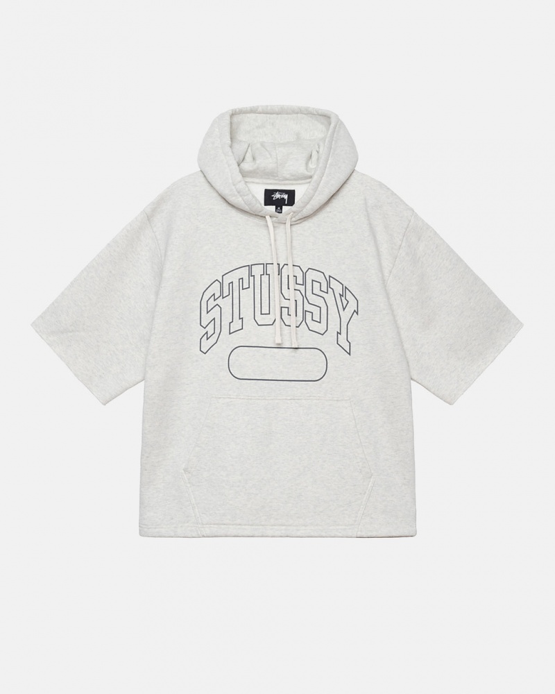 Stussy Ss Boxy Cropped Hoodie Hoodie Damen Grau Österreich | UUW-3812