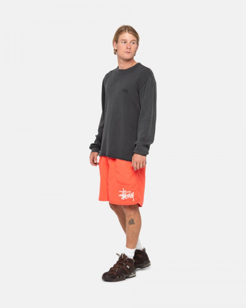 Stussy Wasser Kurzes Big Basic Kurze Hose Herren Koralle Österreich | SZT-5704