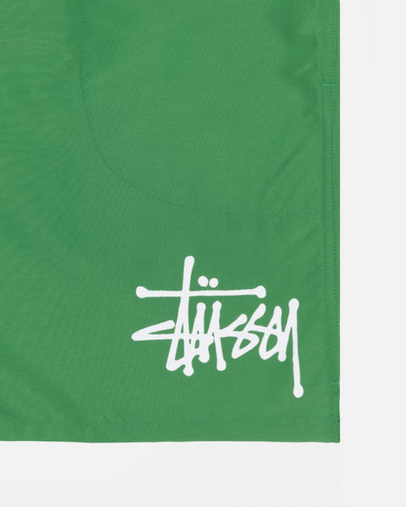 Stussy Wasser Kurzes Big Basic Kurze Hose Herren Grün Österreich | GPN-6778