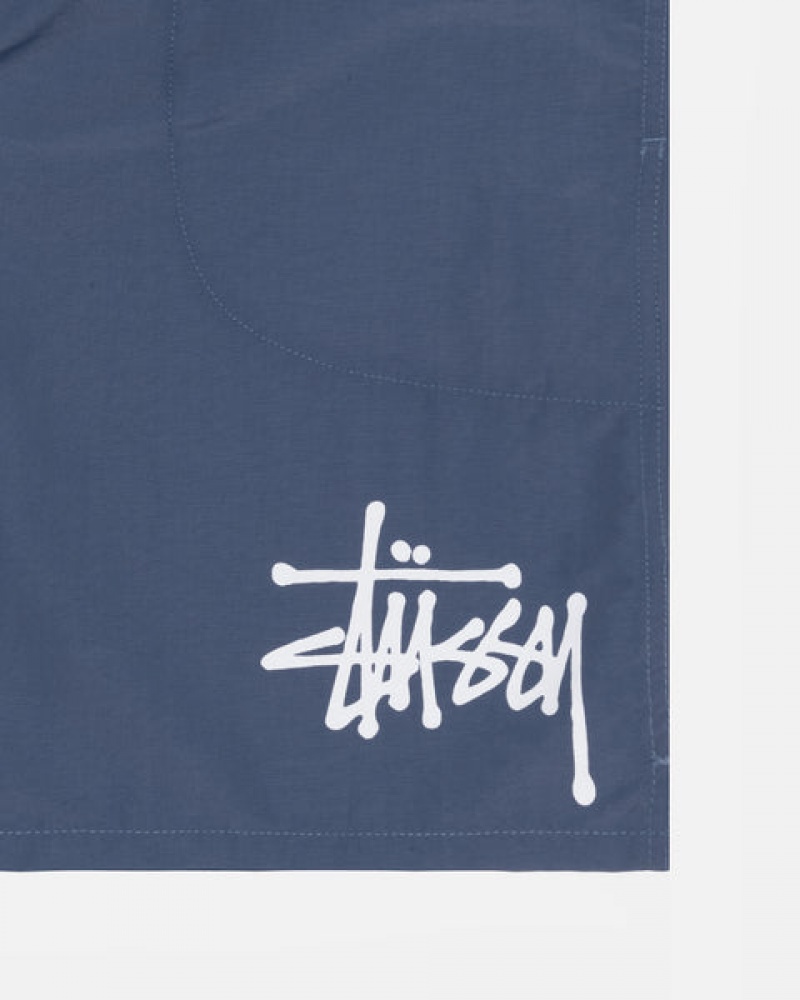 Stussy Wasser Kurzes Big Basic Kurze Hose Herren Navy Österreich | KUB-9547