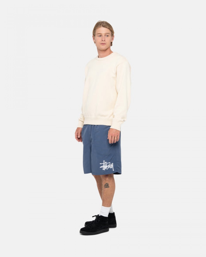 Stussy Wasser Kurzes Big Basic Kurze Hose Herren Navy Österreich | KUB-9547