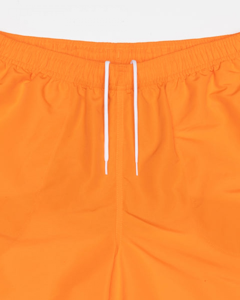 Stussy Wasser Kurzes Big Basic Kurze Hose Herren Orange Österreich | FOU-5745